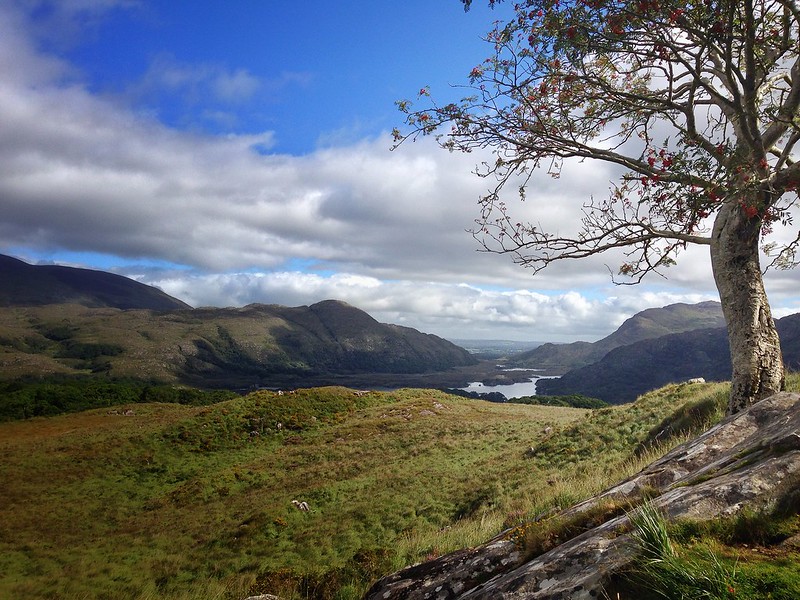 Kerry Way, Ireland