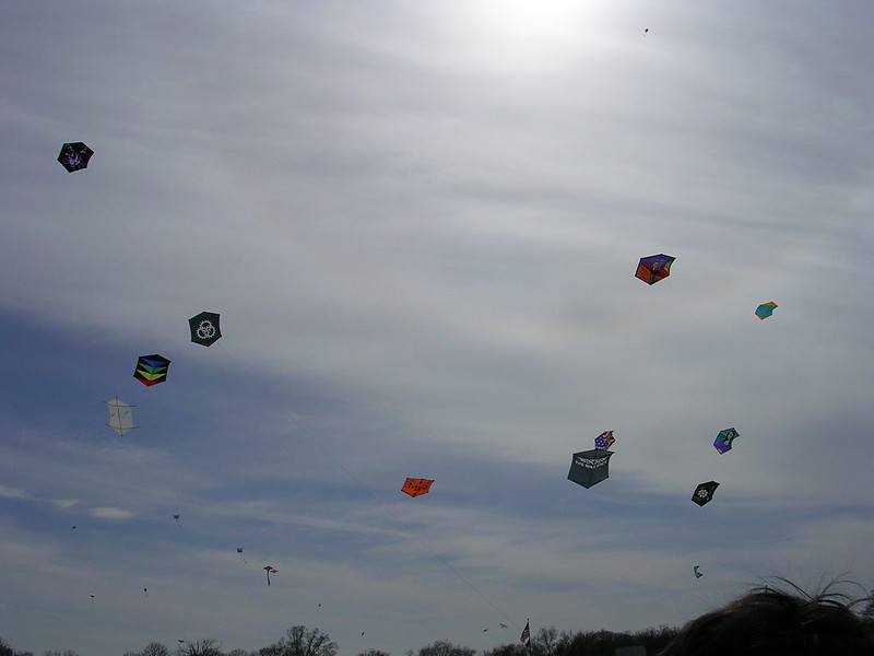 Kite Fighting