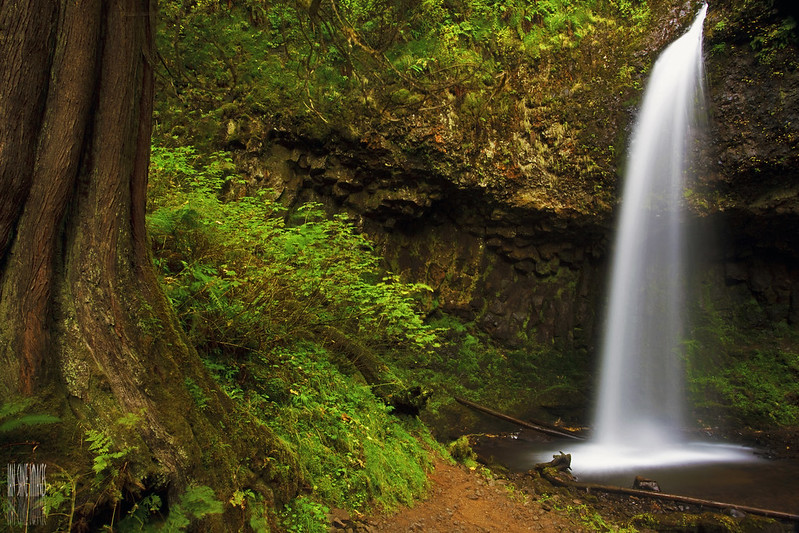 Latourell Falls, Oregon