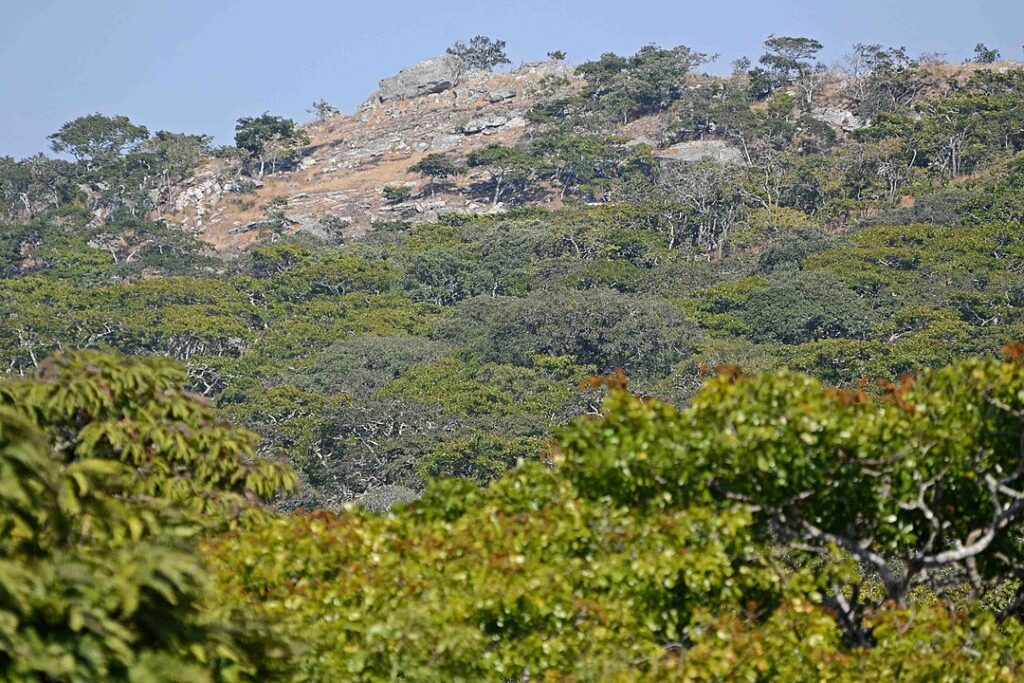 Nkhotakota Wildlife Reserve, Malawi