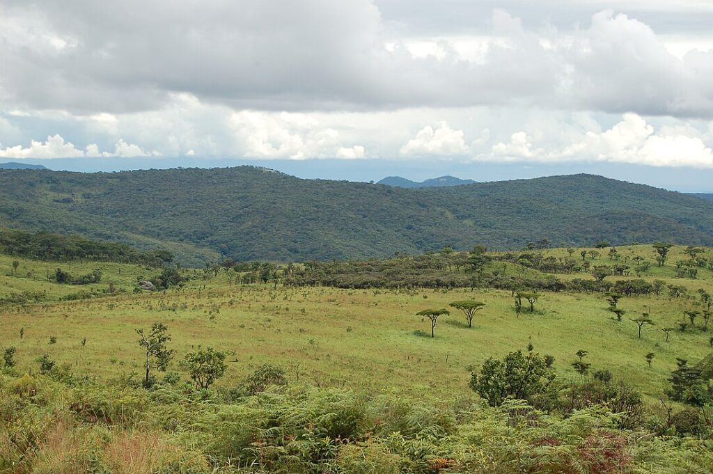 Nyika National Park, Malawi