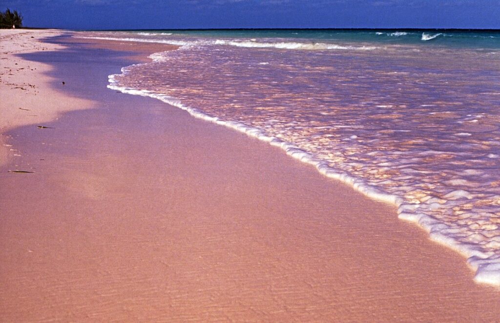 Pink Sands Beach, Bahamas