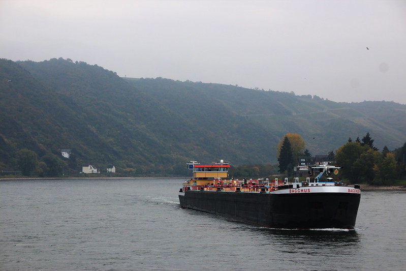 Rhine River Cruise