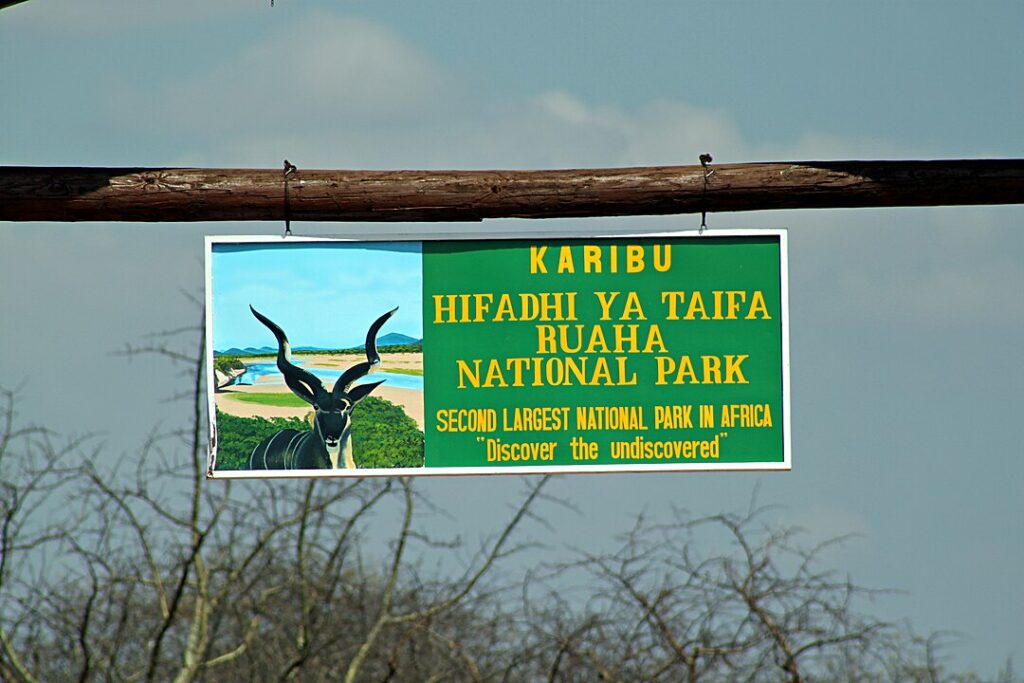 Ruaha National Park, Tanzania