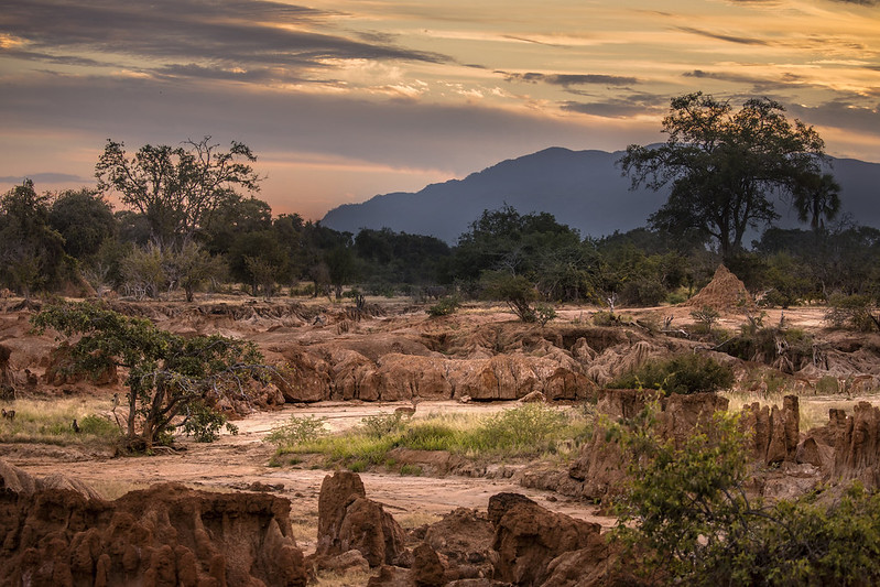 South Luangwa National Park, Zambia