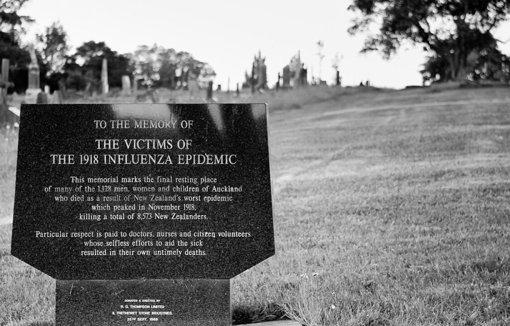 The Spanish Flu Pandemic (1918-1919)