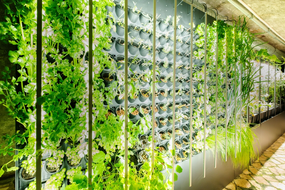 Vertical Gardens