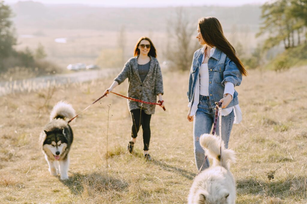 Dogs Sweat by Panting