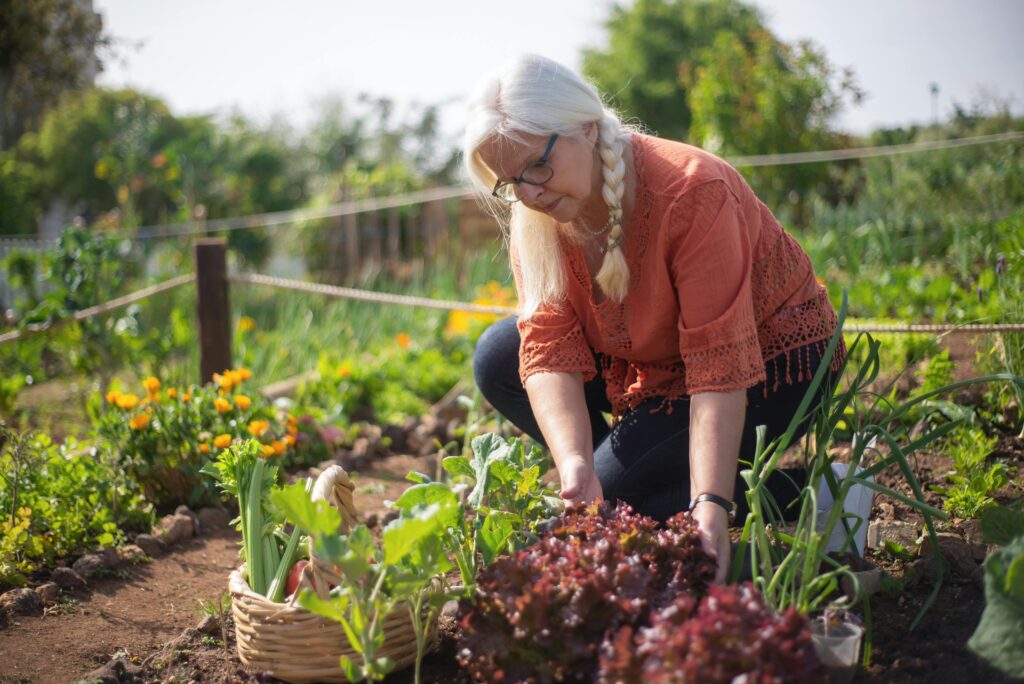 Gardening