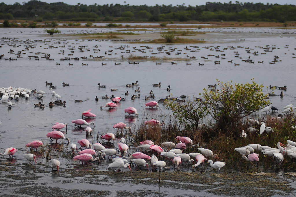 Exploring Wildlife Refuges