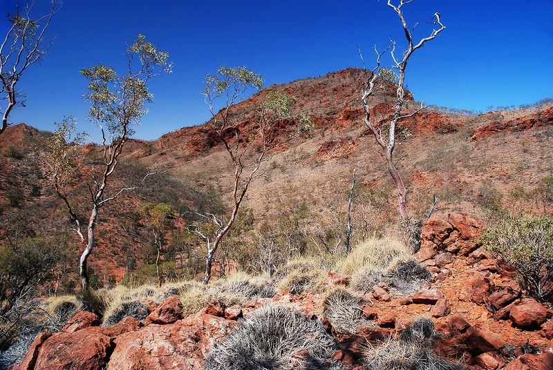 Arkaroola Wilderness Sanctuary