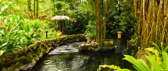 Asclepios Wellness & Healing Retreat, Alajuela, Costa Rica