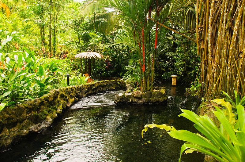 Asclepios Wellness & Healing Retreat, Alajuela, Costa Rica