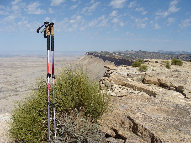 Black Diamond Trail Ergo Cork Trekking Poles