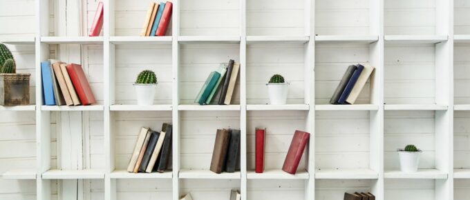 Bookshelves with Cabinet Doors