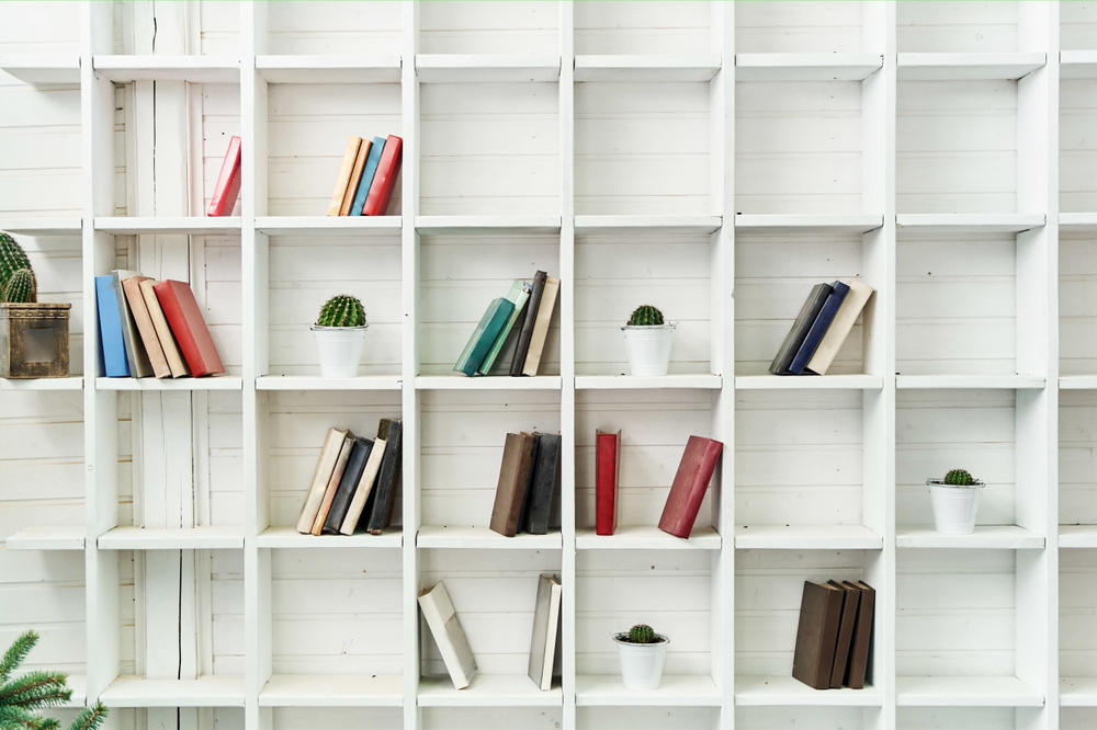 Bookshelves with Cabinet Doors