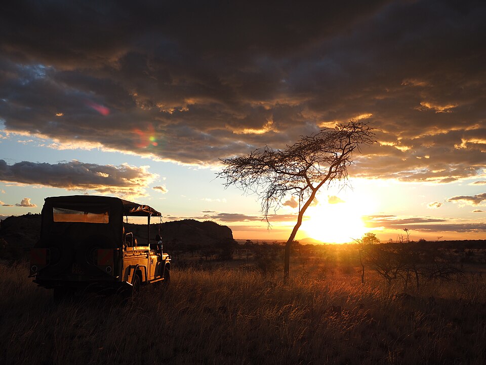 Campi ya Kanzi, Kenya