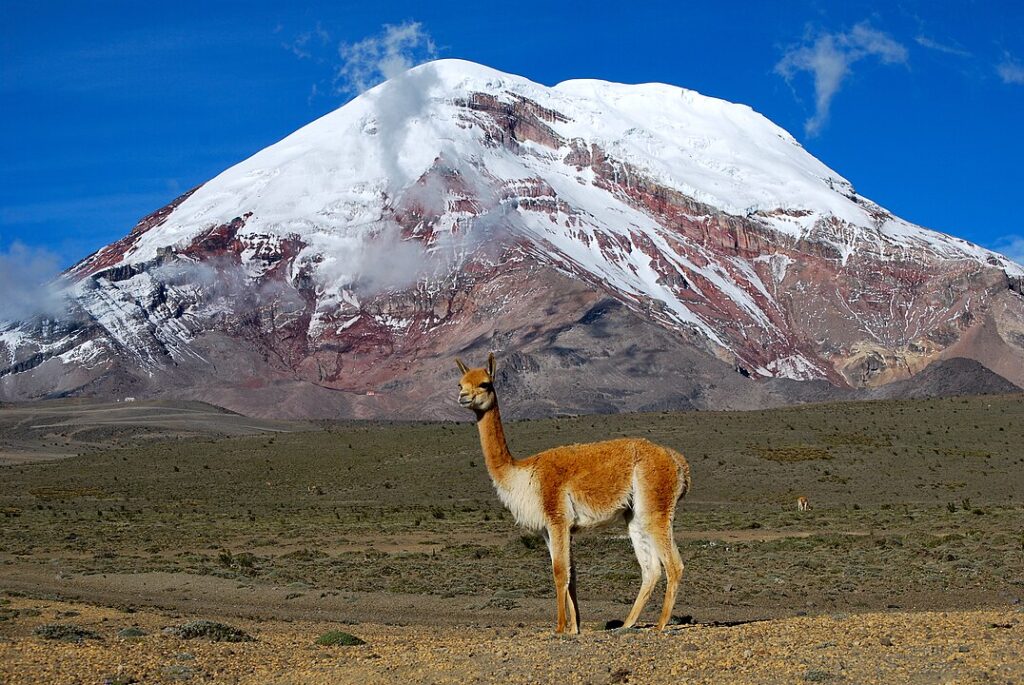 Chimborazo Loop, Ecuador