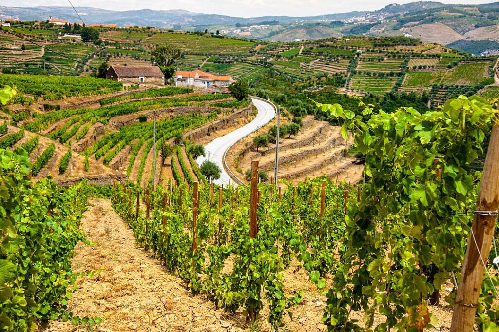 Douro Valley, Portugal