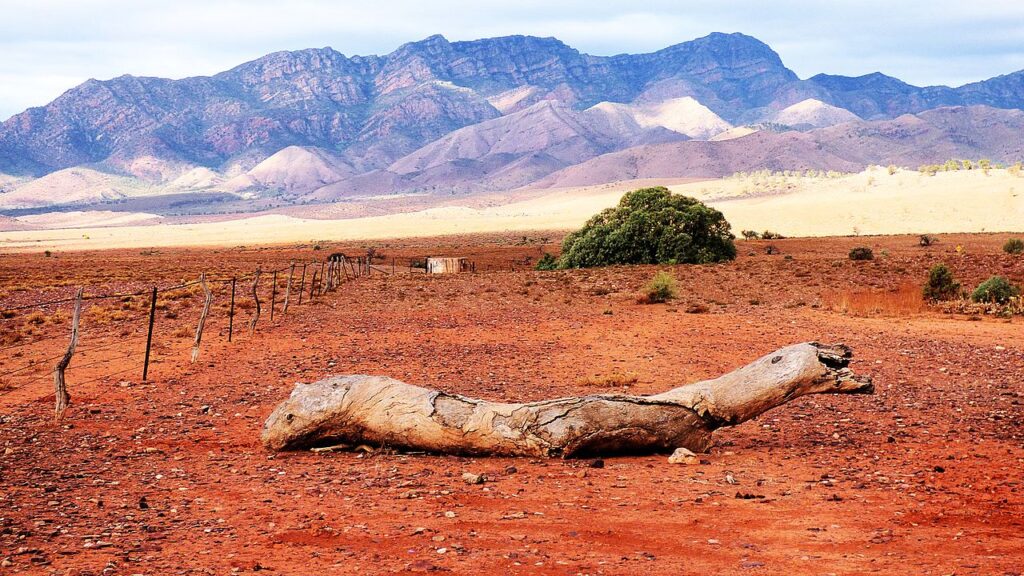 Flinders Ranges 