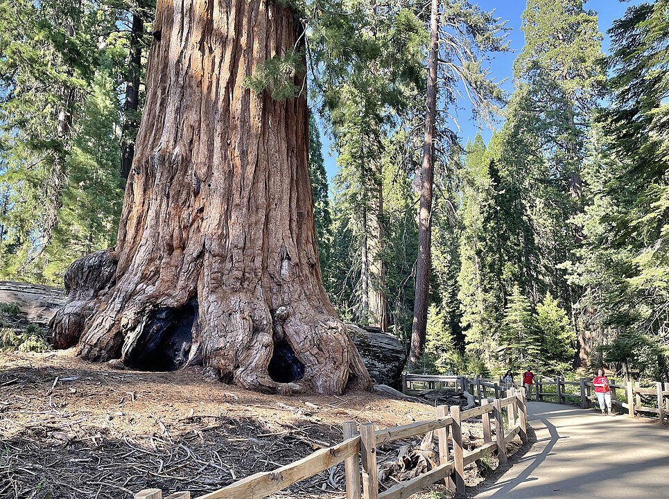 Generals Highway – Sequoia and Kings Canyon National Parks, California