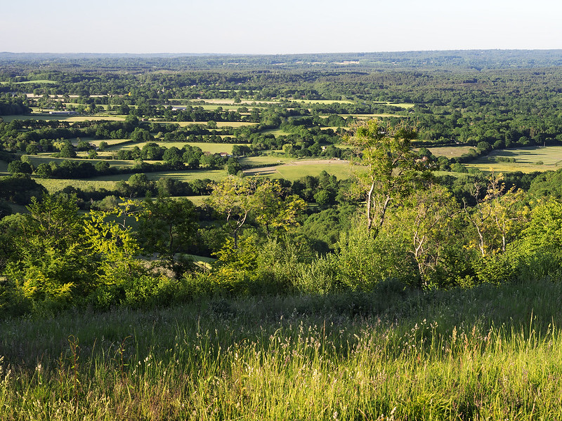 Hampshire