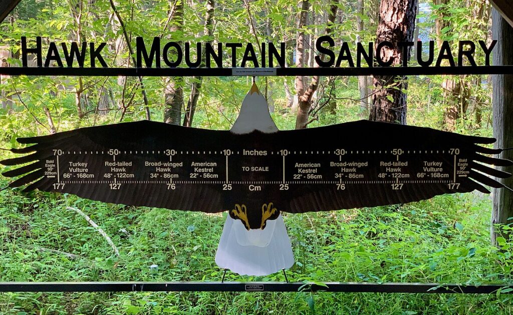 Hawk Mountain Sanctuary, Pennsylvania