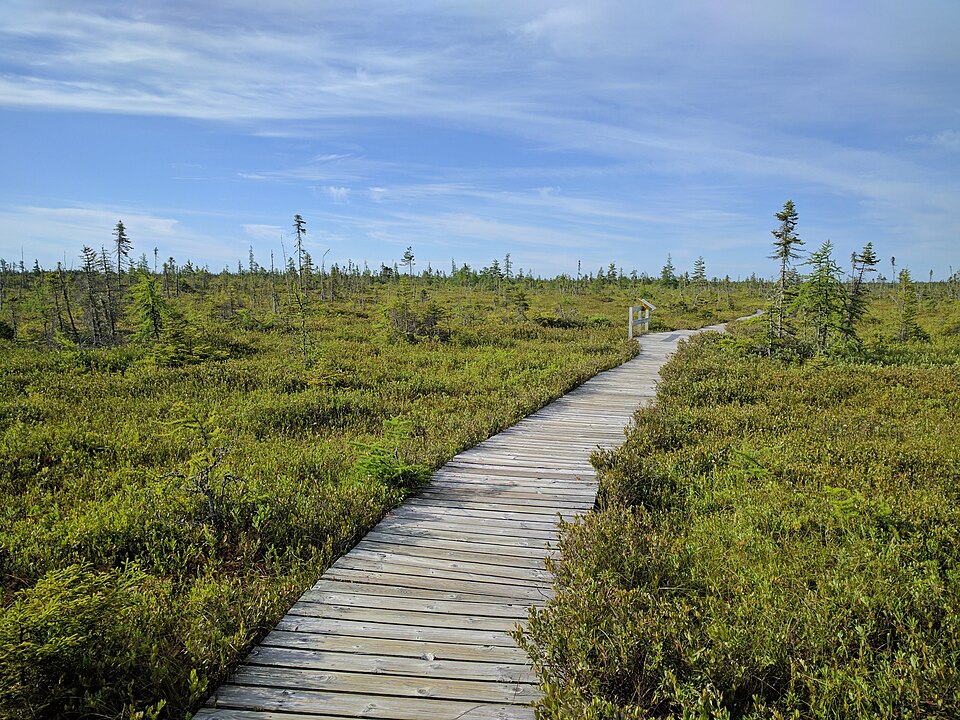 Highway 2 through Kouchibouguac National Park, New Brunswick