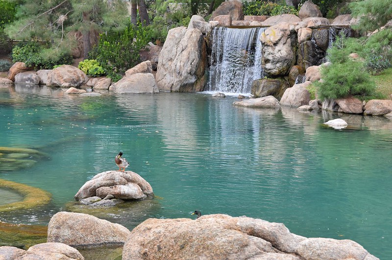 Japanese Friendship Garden, Arizona, USA