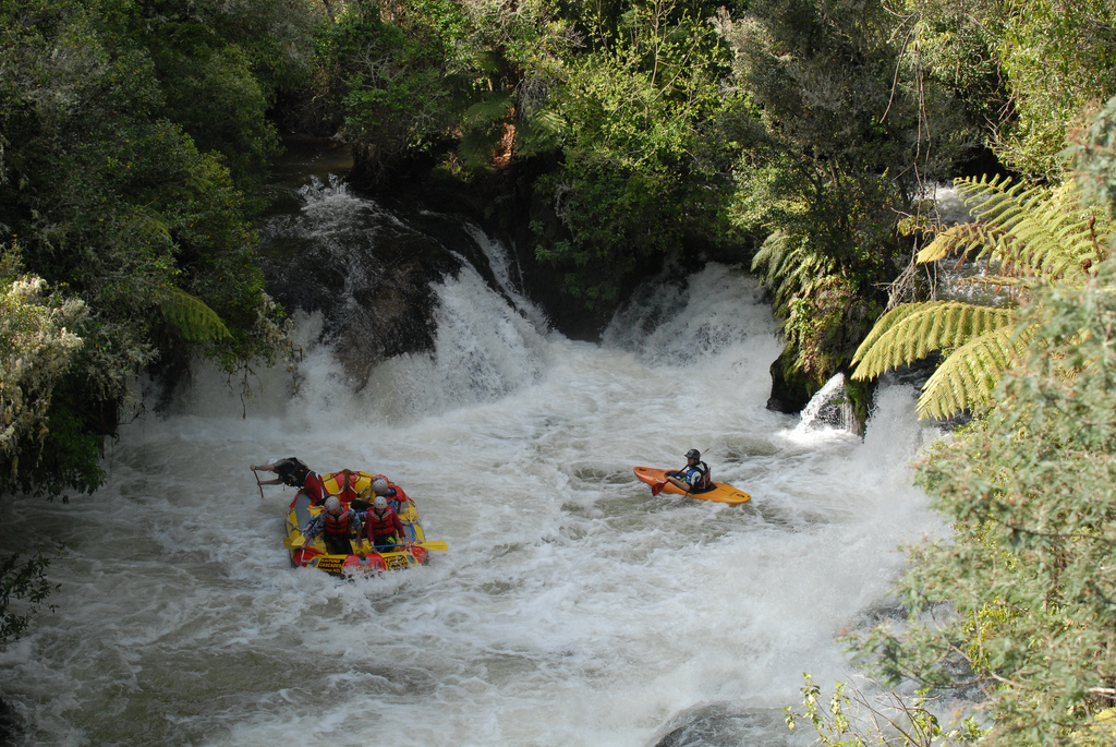 Kaituna River, New Zealand