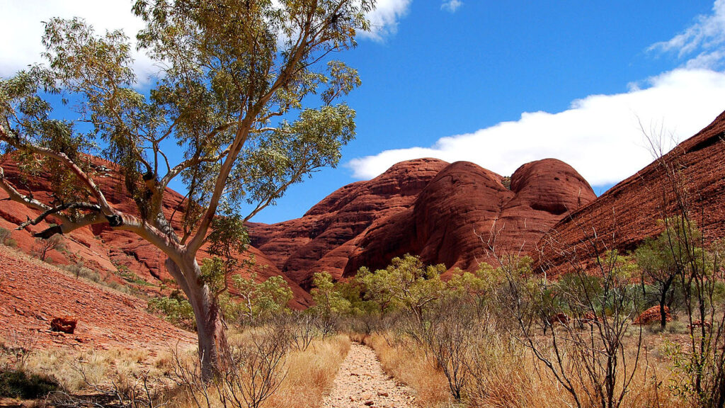 Kata Tjuta (The Olgas)