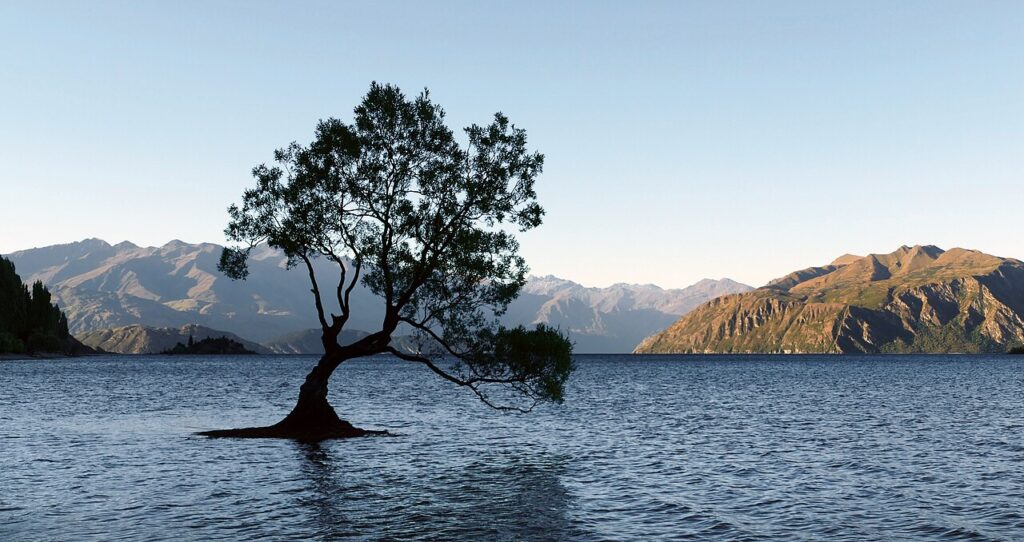 Lake Wanaka, New Zealand