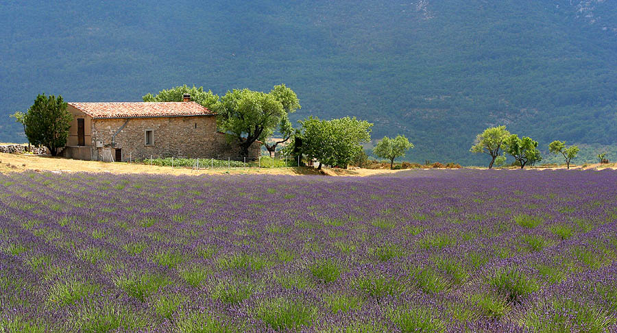 Le Mas de Peint, Provence, France