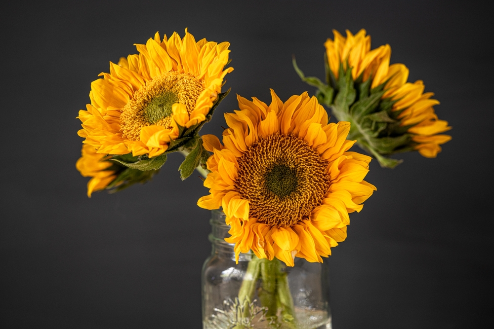 Mason Jar Vases