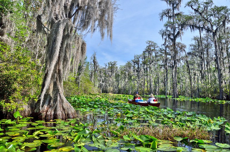 Okefenokee National Wildlife Refuge, Georgia/Florida