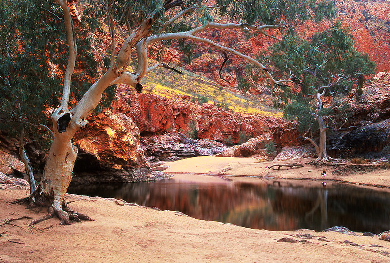 Ormiston Gorge