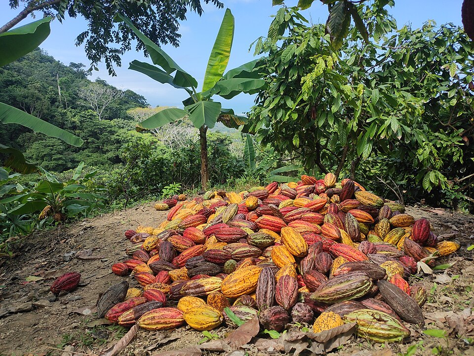 Ruta del Cacao, Colombia