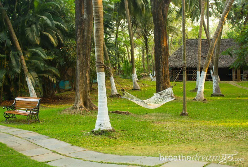 Shinshiva Ayurvedic Resort, Kerala, India