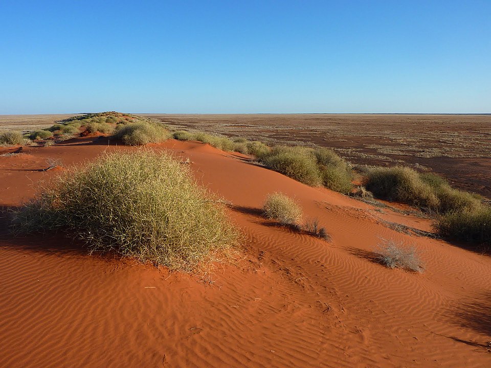 Simpson Desert