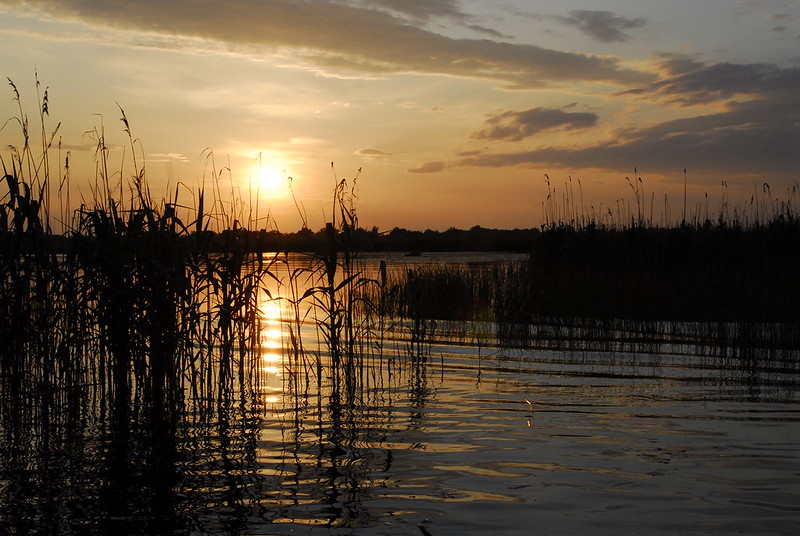 The Danube Delta, Romania