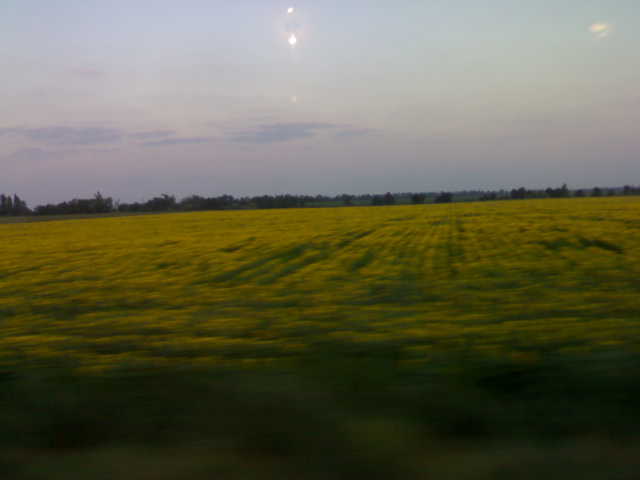 The Great Hungarian Plain, Hungary