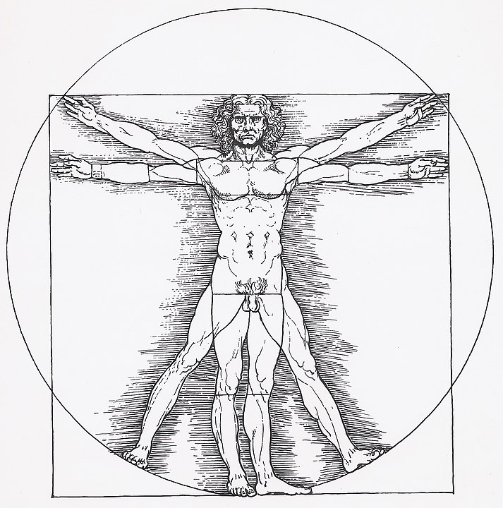 The Vitruvian Man’s Divine Proportions