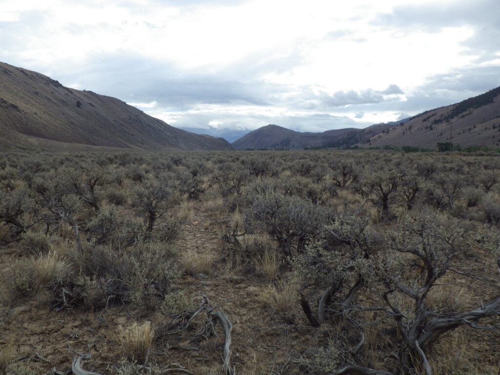 Trail Creek Road, Idaho/Montana