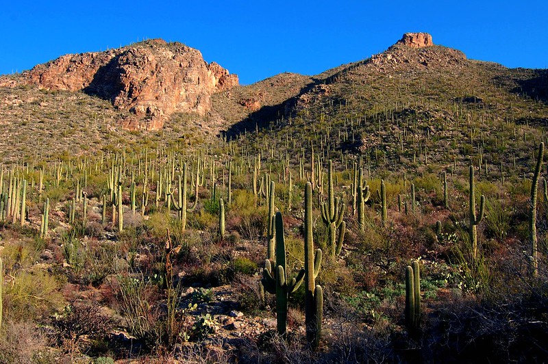 Tucson’s Canyon Ranch, Arizona, USA