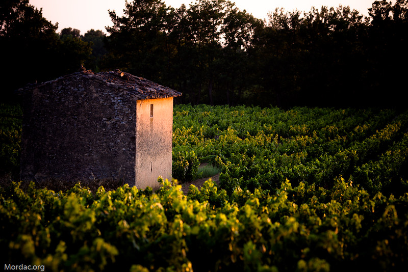 Villa La Coste, Provence, France