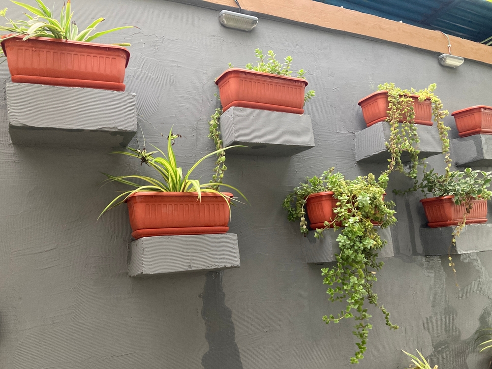 Wall-Mounted Pot Rack