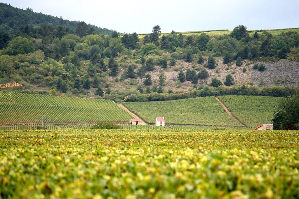 Burgundy, France