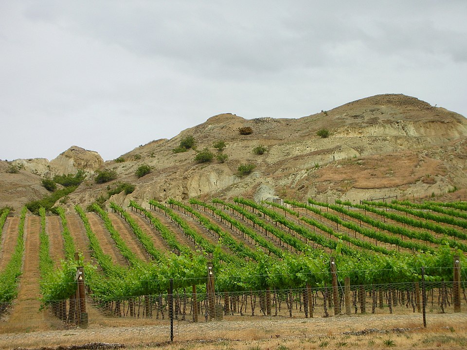 Central Otago, New Zealand