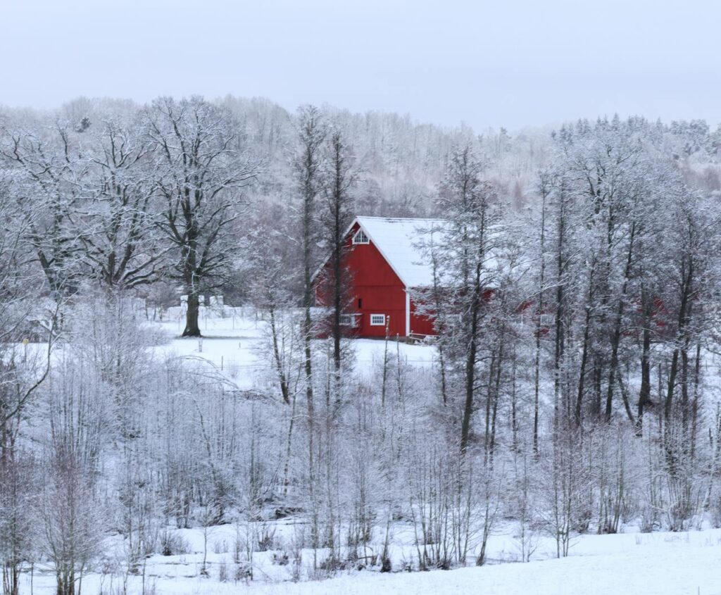 Countryside Cabin, Vermont