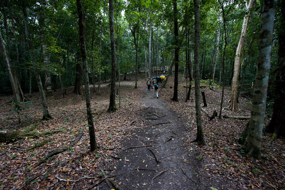 Discoveries of Ancient Maya Roads